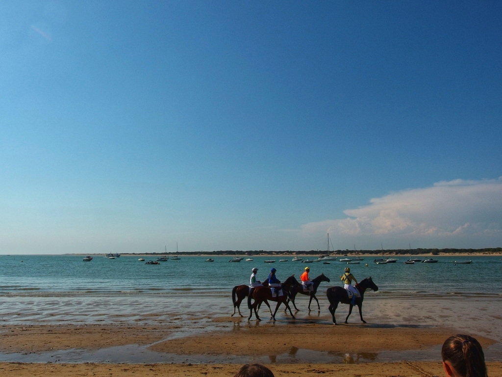 f:id:baby-mu5898:20180901042827j:plain