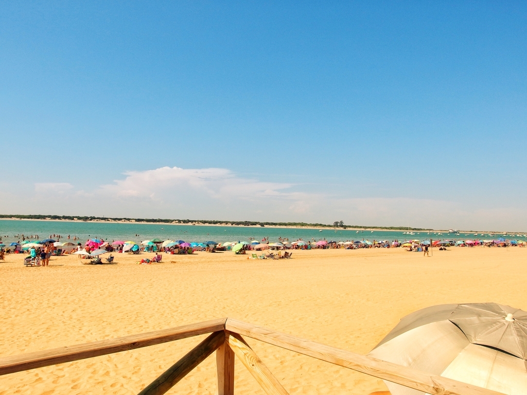 f:id:baby-mu5898:20180901045100j:plain