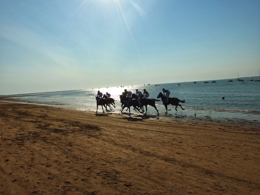 f:id:baby-mu5898:20180901051335j:plain