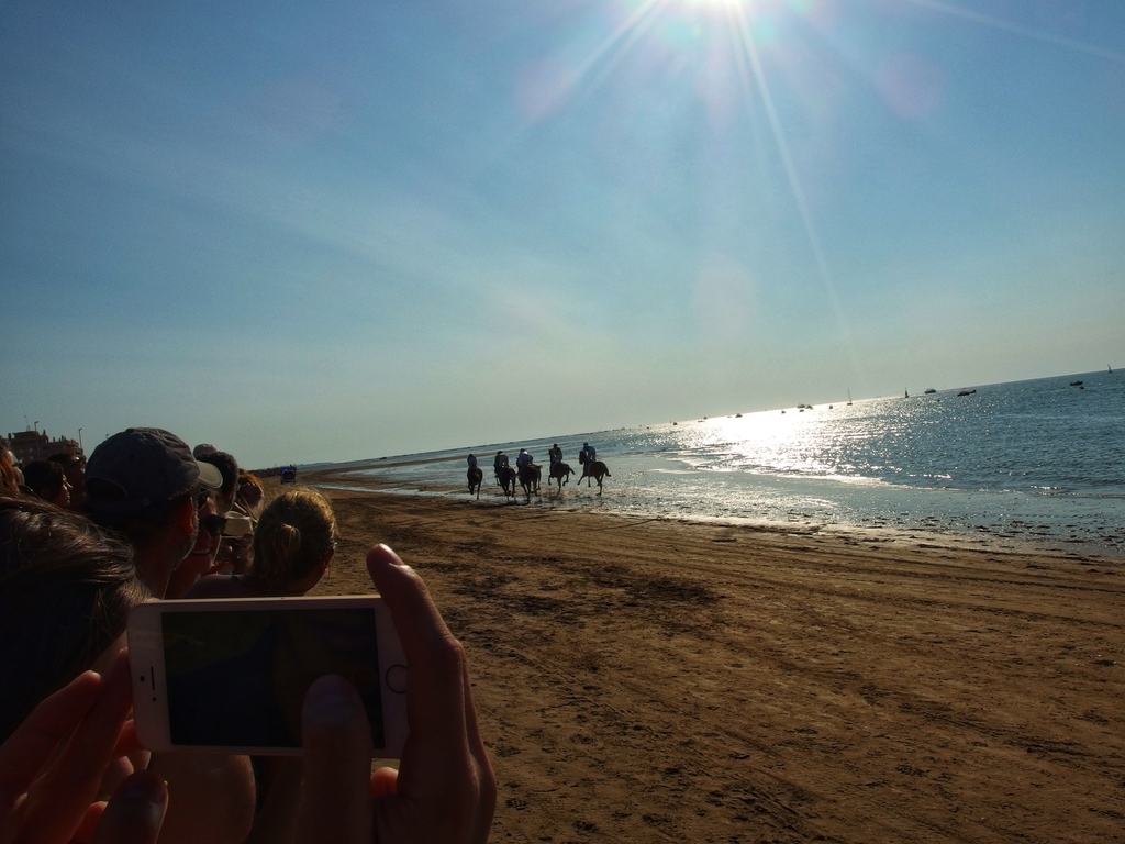 f:id:baby-mu5898:20180901051342j:plain