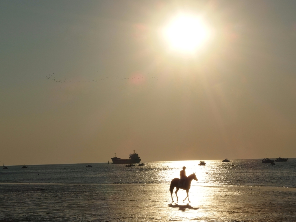 f:id:baby-mu5898:20180901054301j:plain