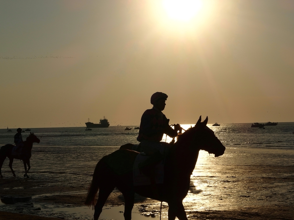 f:id:baby-mu5898:20180901054739j:plain