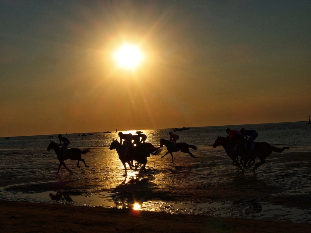 f:id:baby-mu5898:20180901054840j:plain