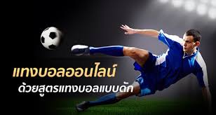 f:id:baby5532:20201022115331j:plain f:id:baby5532:20201022115331j:plain
