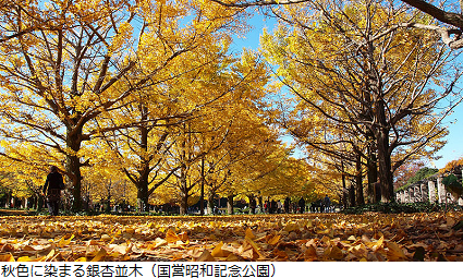 f:id:baby_theory:20121118155049p:image