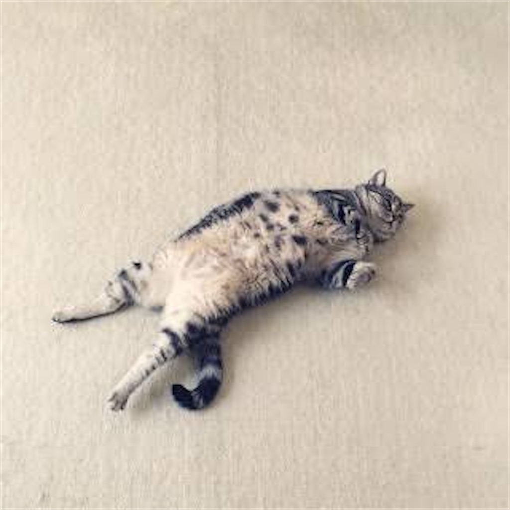 f:id:babyboy412:20201019150429j:image