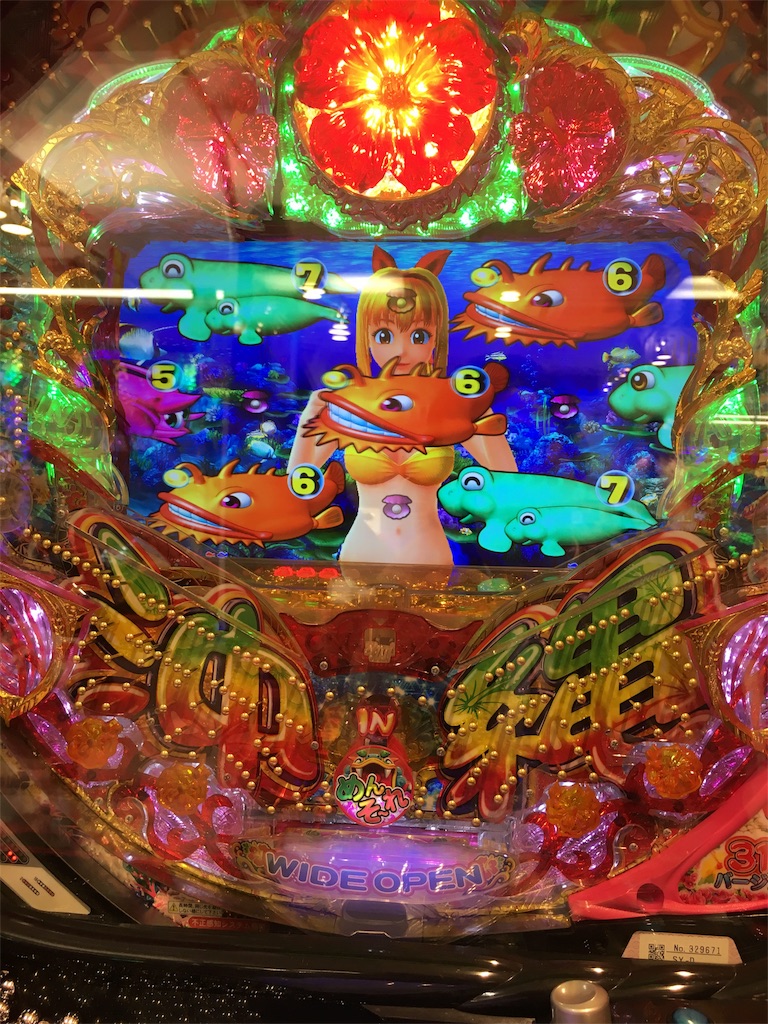 f:id:babybunnystep:20170610231316j:image f:id:babybunnystep:20170610231316j:image
