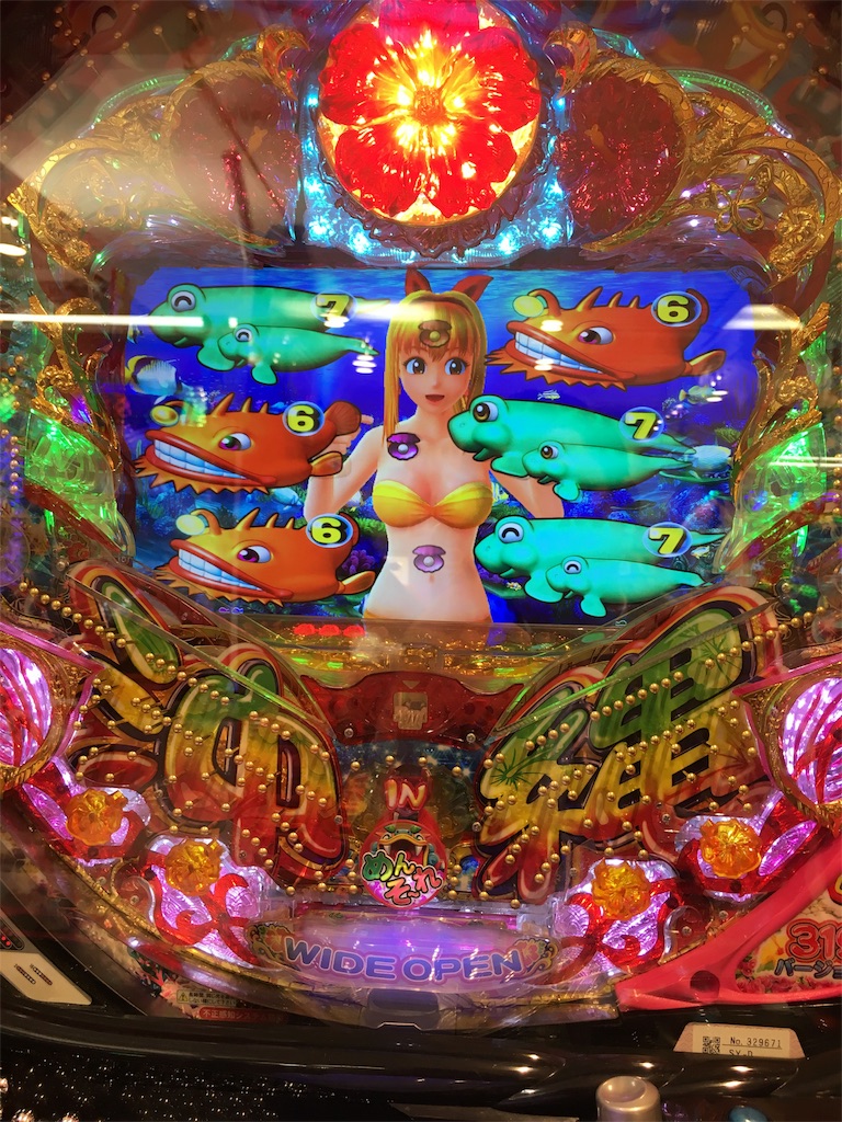 f:id:babybunnystep:20170610231515j:image f:id:babybunnystep:20170610231515j:image