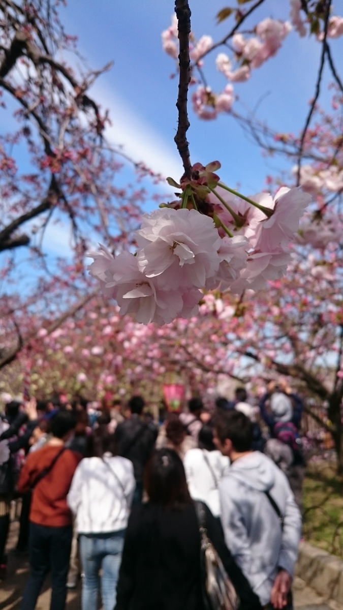 f:id:babyfacewife:20190414165159j:plain f:id:babyfacewife:20190414165159j:plain