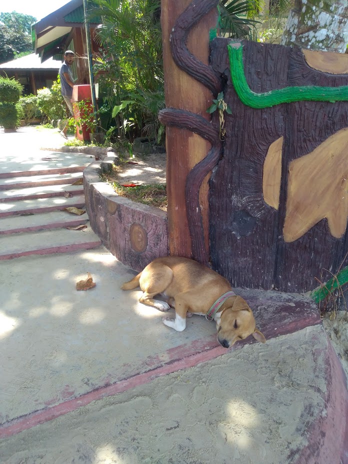 f:id:babyfacewife:20190609172811j:plain f:id:babyfacewife:20190609172811j:plain