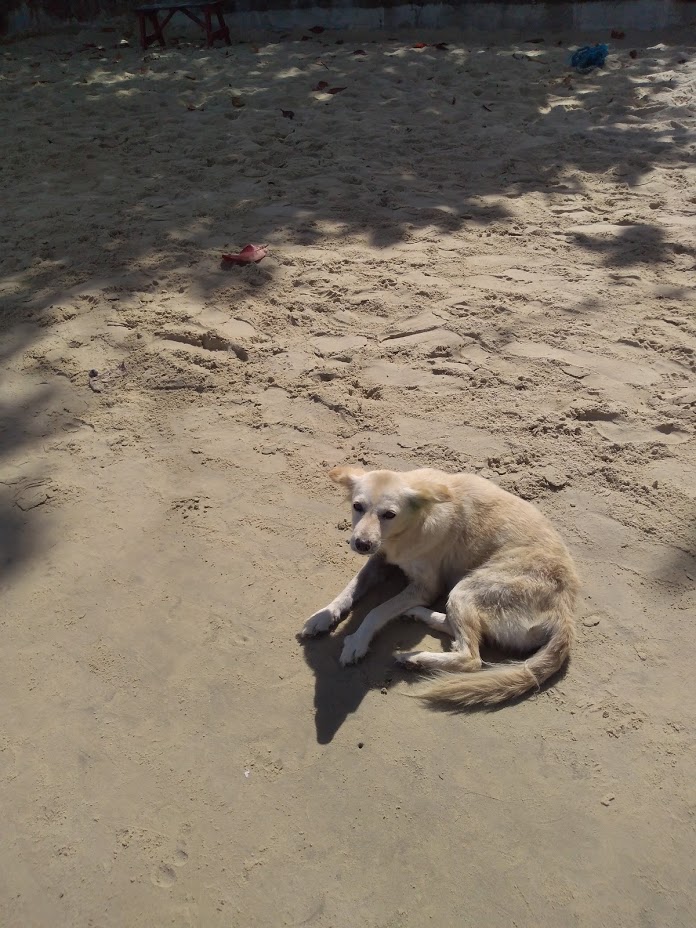 f:id:babyfacewife:20190609172819j:plain f:id:babyfacewife:20190609172819j:plain