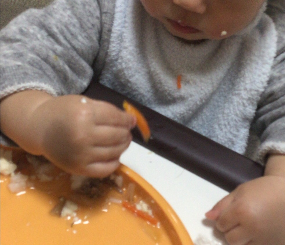 f:id:babyfoodblog:20181205101655j:plain f:id:babyfoodblog:20181205101655j:plain