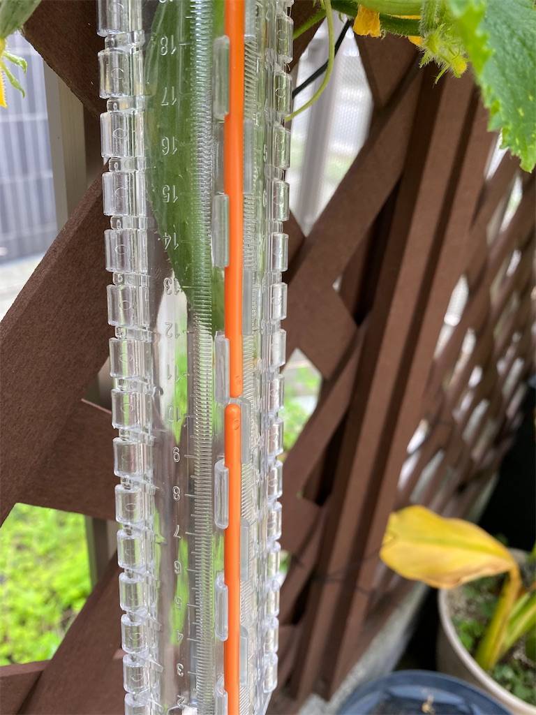 f:id:babyintokyo:20220724000109j:image