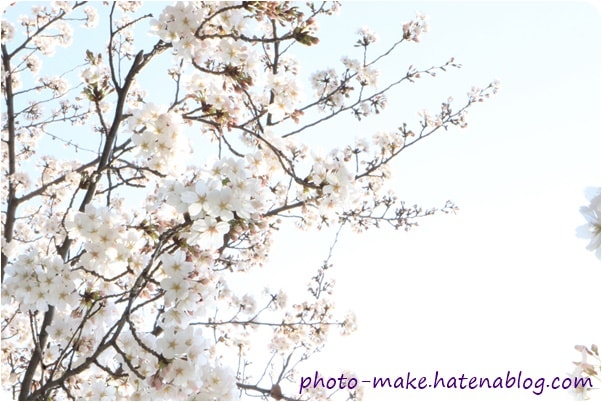 f:id:babykubi:20180329143339j:plain f:id:babykubi:20180329143339j:plain