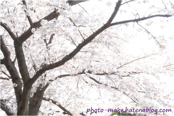 f:id:babykubi:20180329144211j:plain f:id:babykubi:20180329144211j:plain