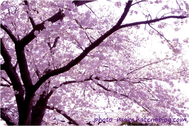 f:id:babykubi:20180329144907j:plain f:id:babykubi:20180329144907j:plain