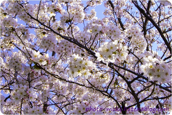 f:id:babykubi:20180329145244j:plain f:id:babykubi:20180329145244j:plain