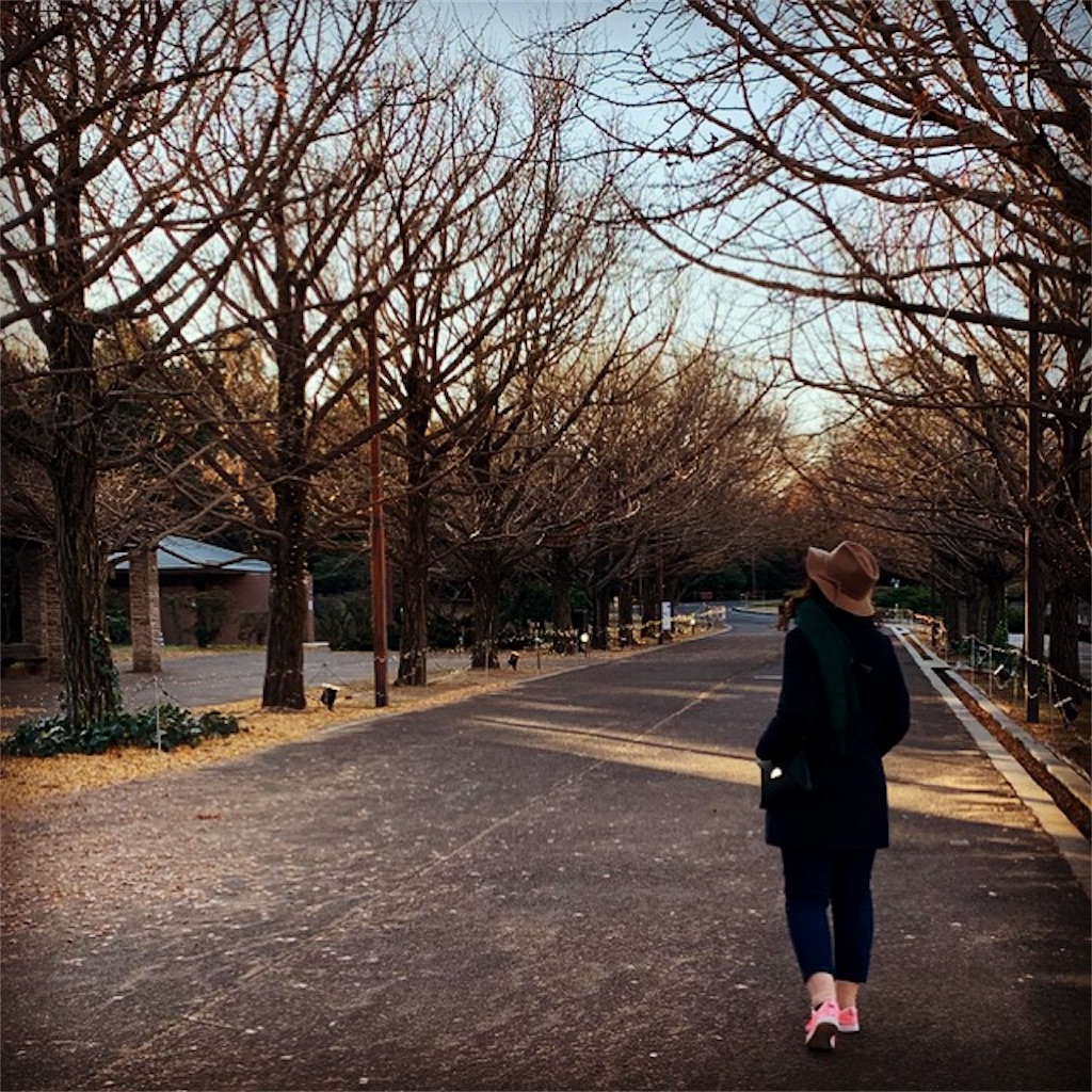 f:id:babymarina:20181216130140j:image