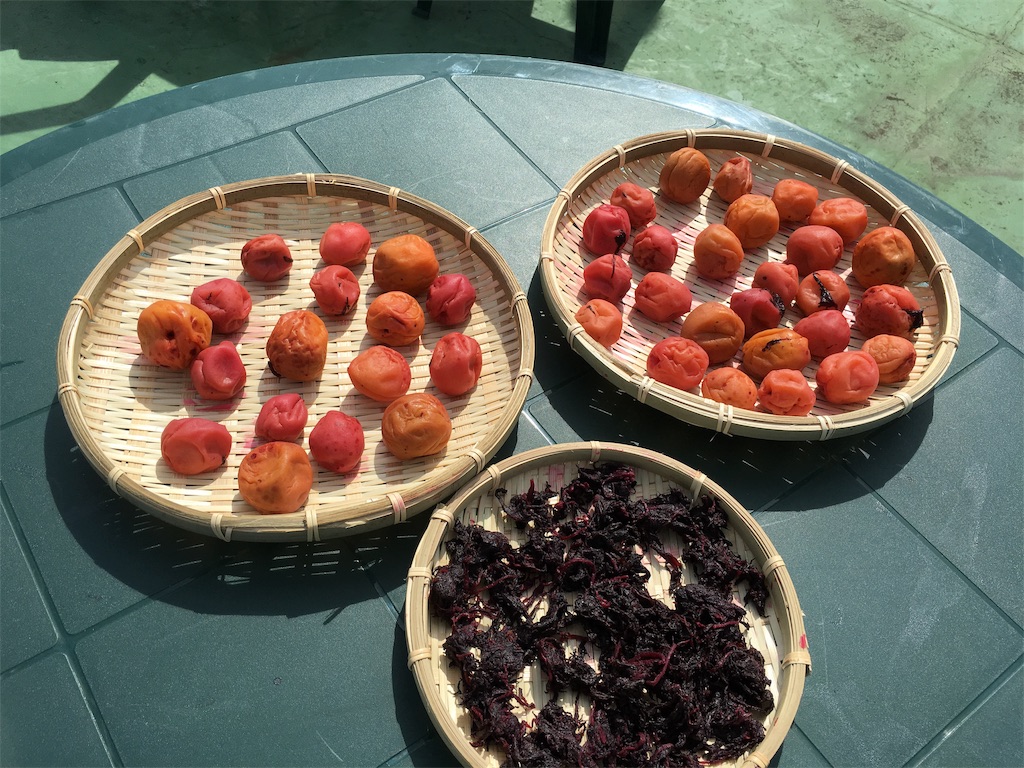 f:id:babymiffy:20180927075830j:image