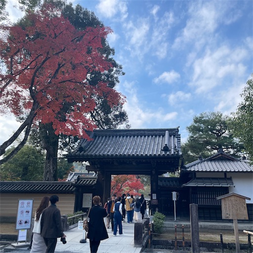 f:id:babypeanuts08:20231124114659j:image