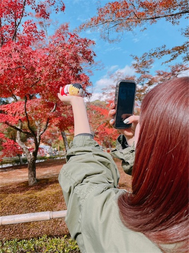 f:id:babypeanuts08:20231124114830j:image