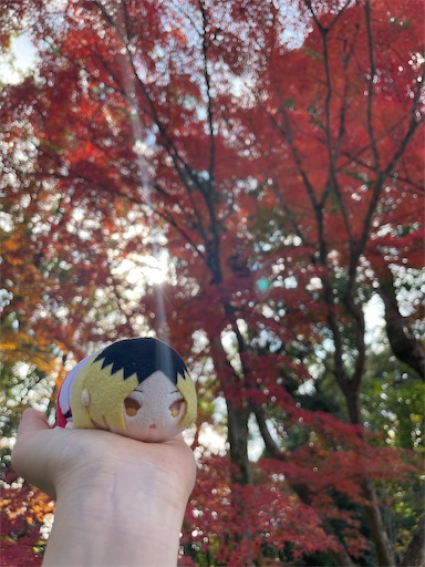 f:id:babypeanuts08:20231124114914j:image