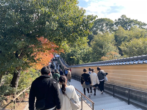 f:id:babypeanuts08:20231124115049j:image