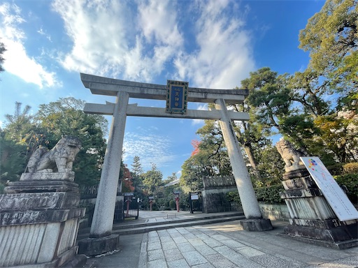 f:id:babypeanuts08:20231124123548j:image