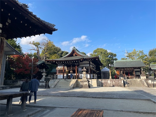 f:id:babypeanuts08:20231124123701j:image