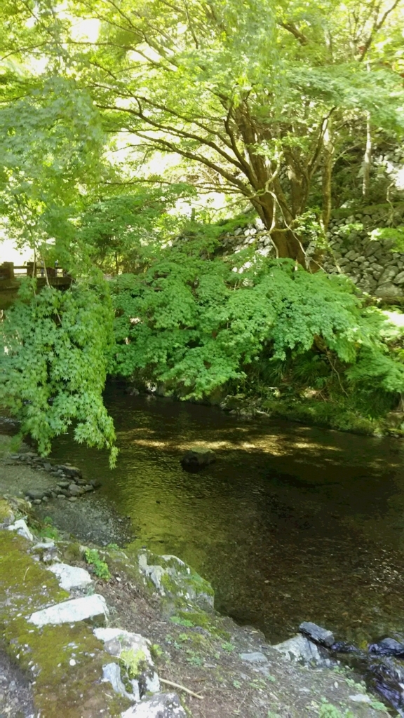 紅葉のときは綺麗ですよ 佐野市の蓬莱山 栃木県佐野市の結婚相談所ベイビーズ ブレス Baby S Breath 日記