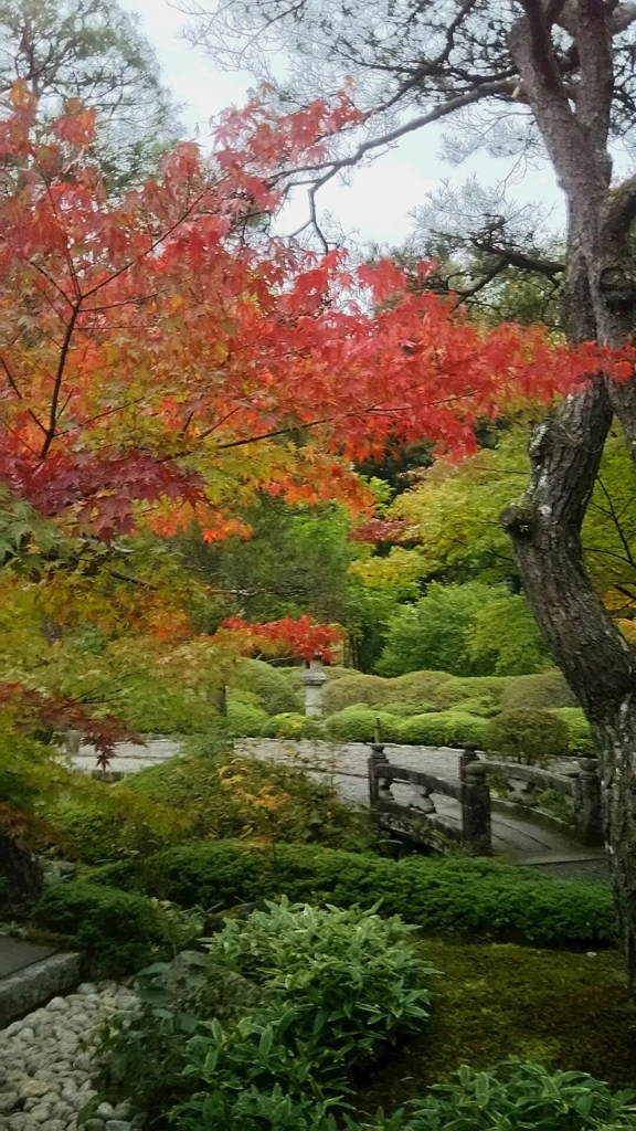 f:id:babysbreath55:20171026220858j:plain