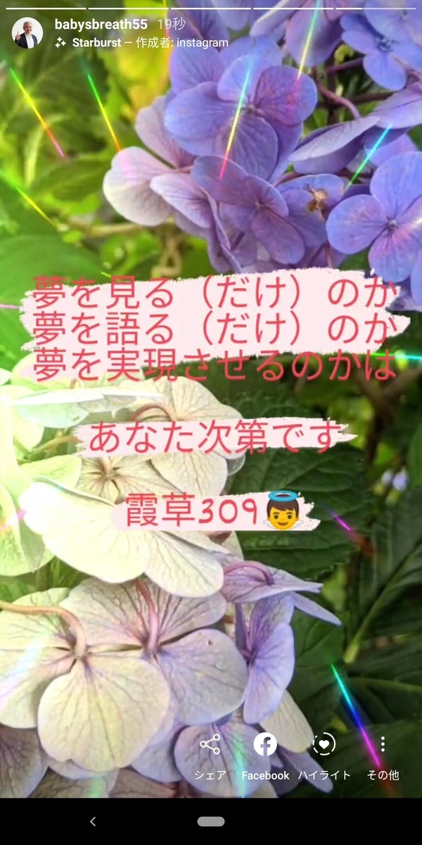 f:id:babysbreath55:20200810111833j:plain