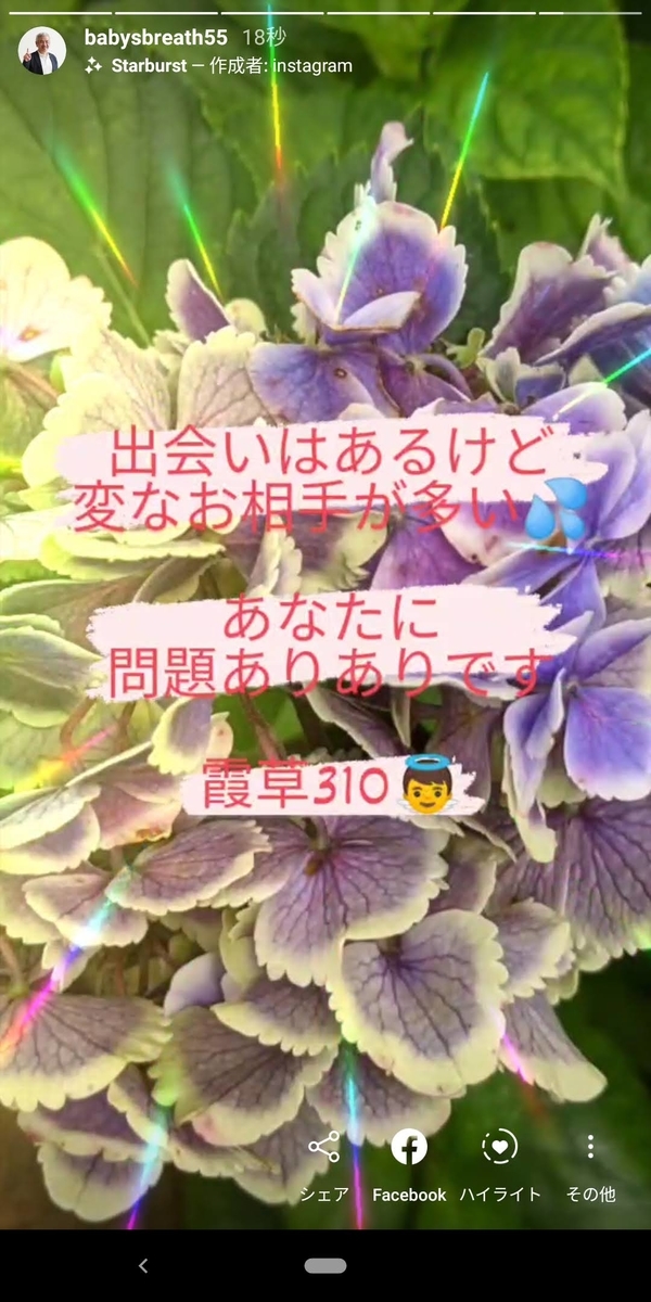 f:id:babysbreath55:20200810111852j:plain