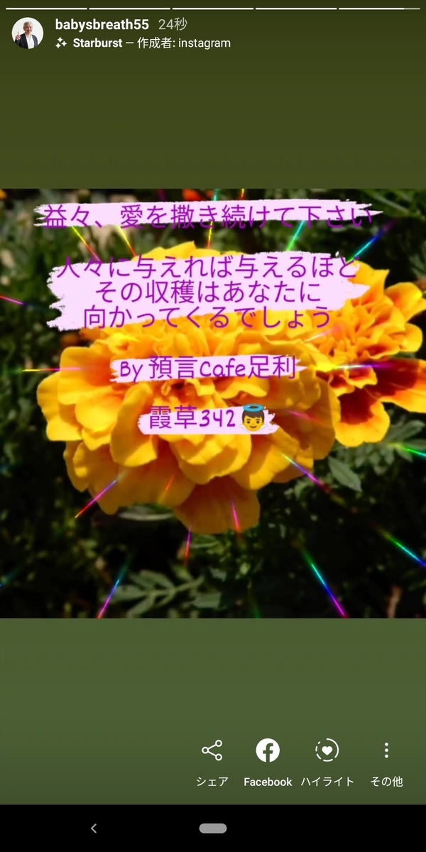 f:id:babysbreath55:20200821113931j:plain