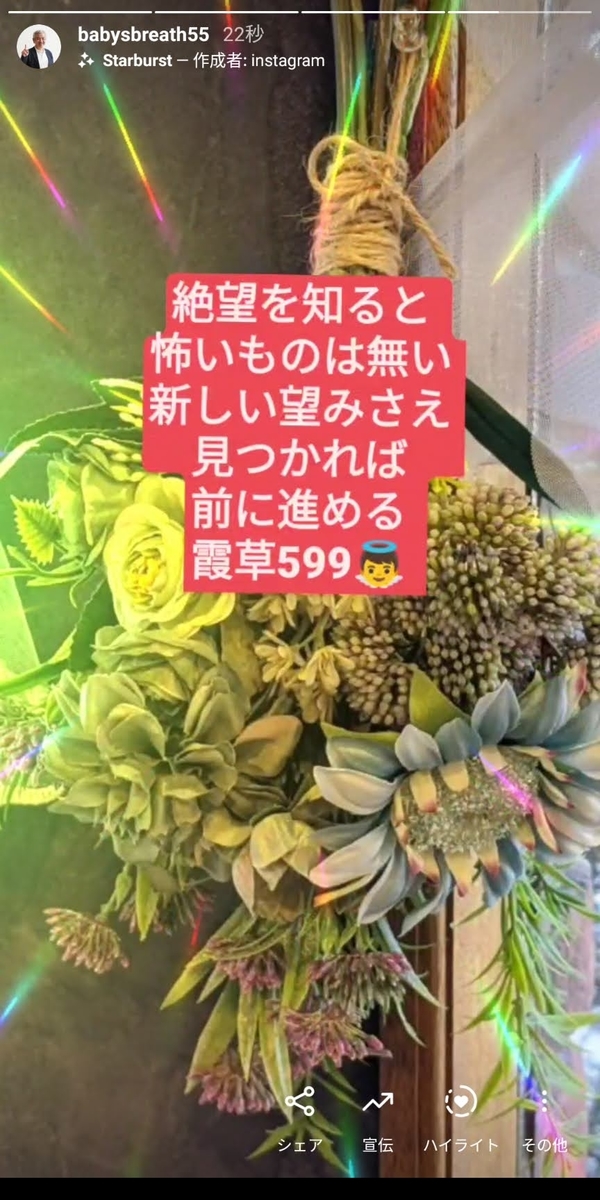 f:id:babysbreath55:20201115092420j:plain f:id:babysbreath55:20201115092420j:plain
