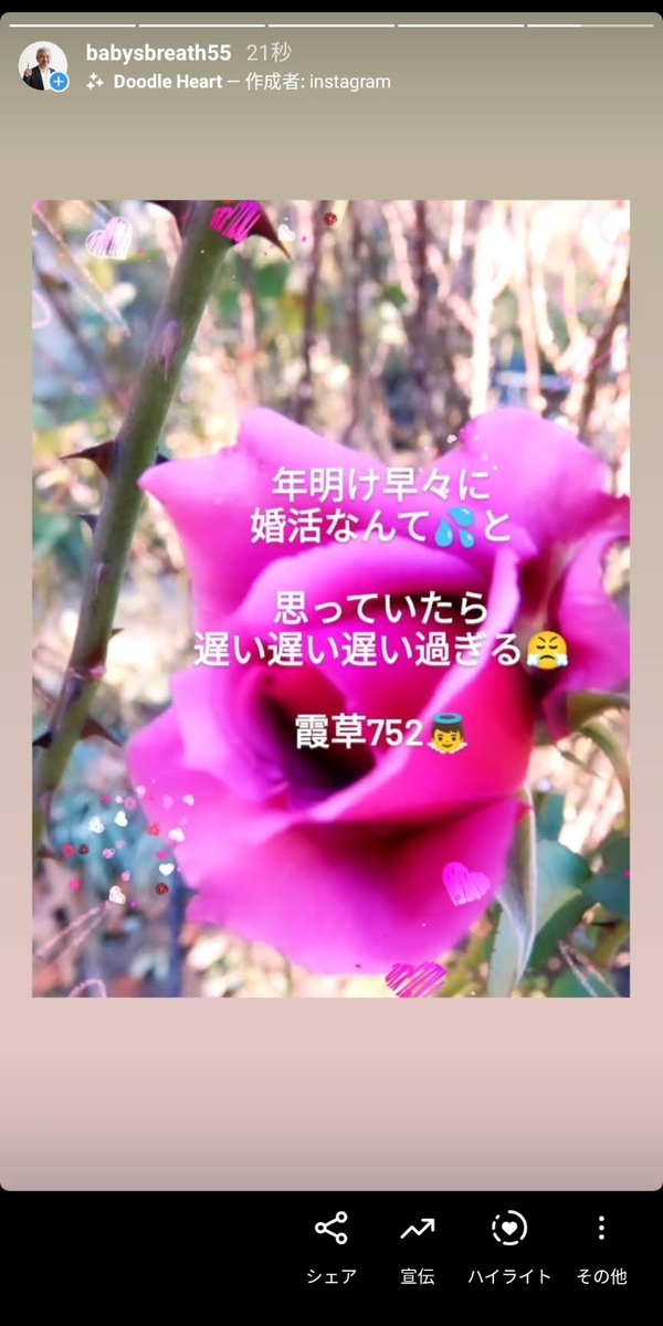 f:id:babysbreath55:20210105091714j:plain
