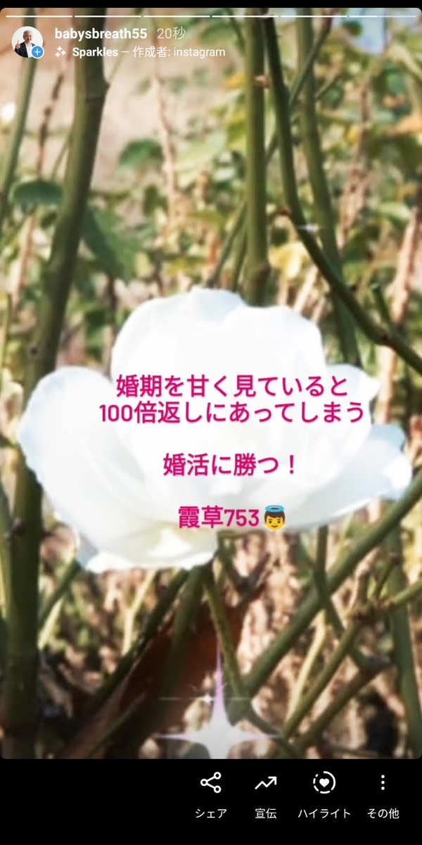 f:id:babysbreath55:20210105091728j:plain