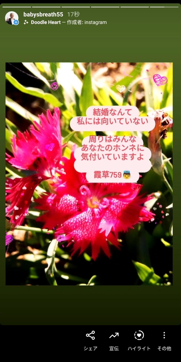 f:id:babysbreath55:20210107091307j:plain
