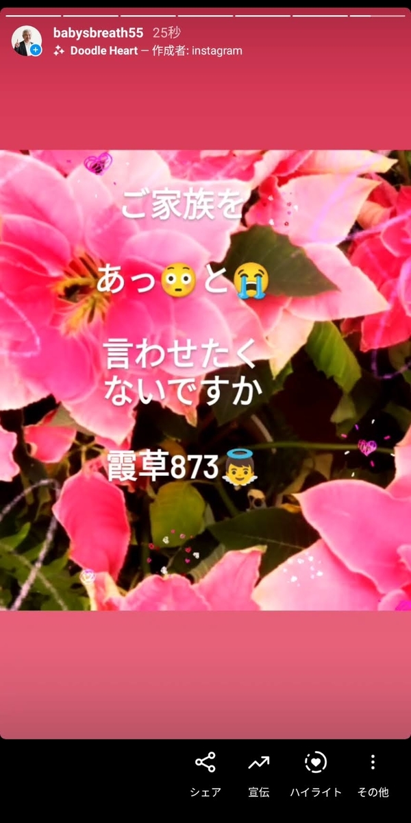 f:id:babysbreath55:20210214091906j:plain
