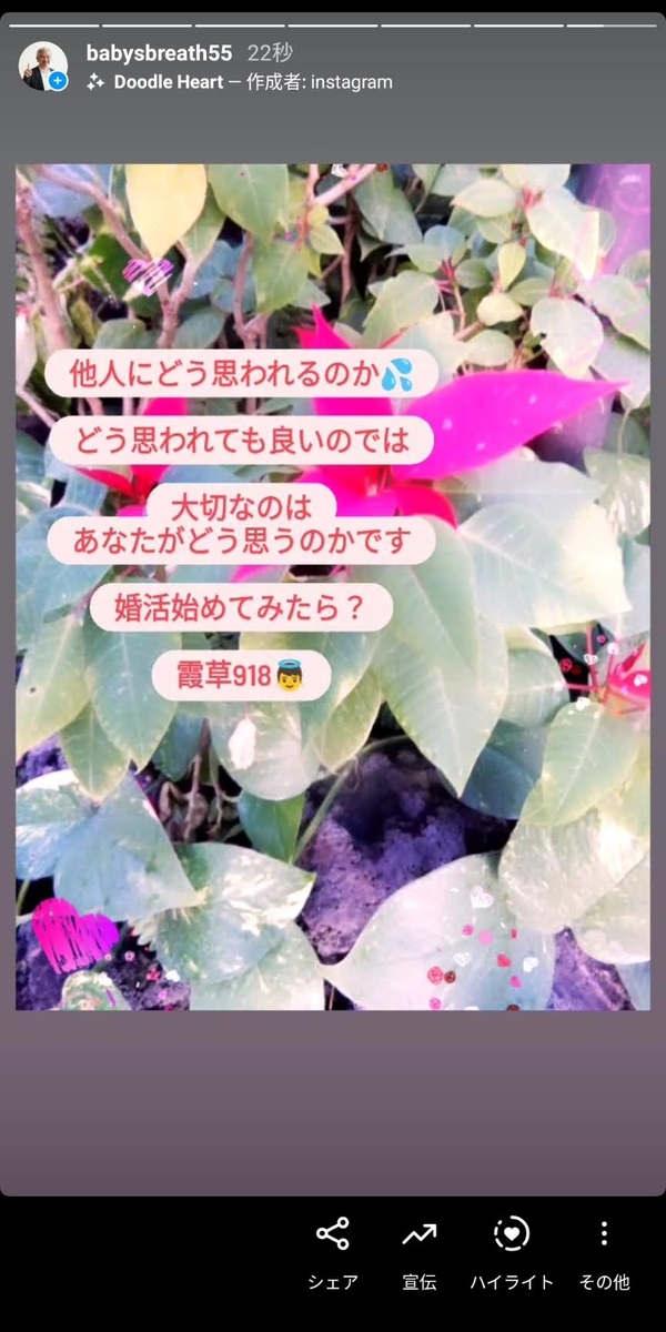 f:id:babysbreath55:20210301090420j:plain