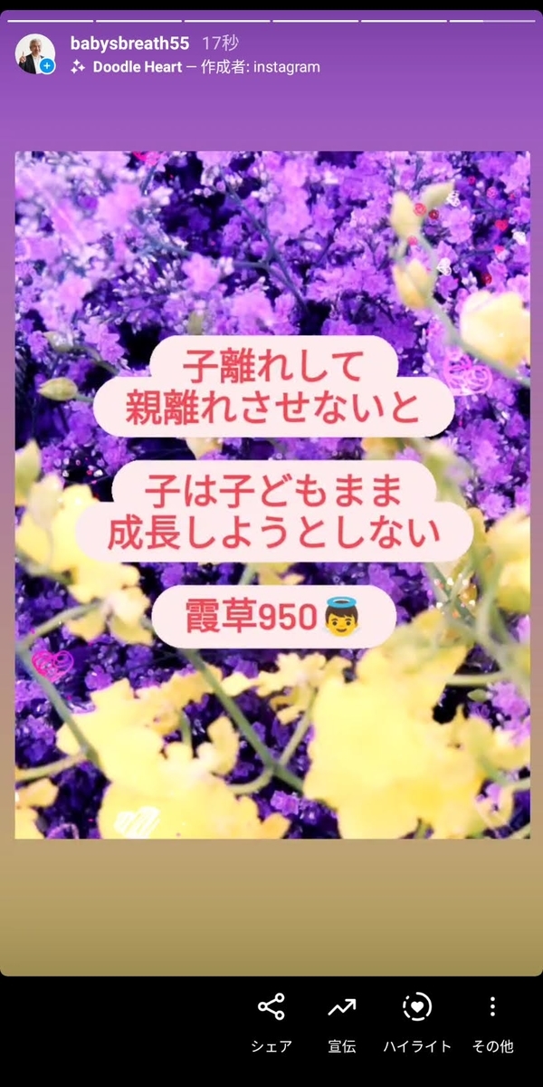 f:id:babysbreath55:20210312060833j:plain