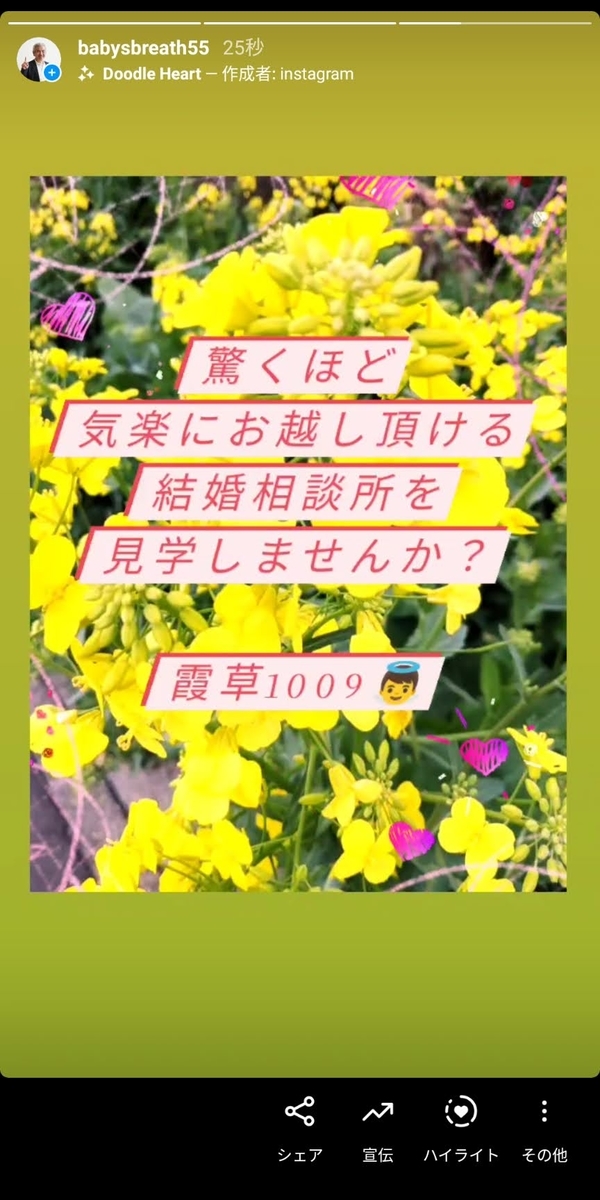 f:id:babysbreath55:20210407071743j:plain