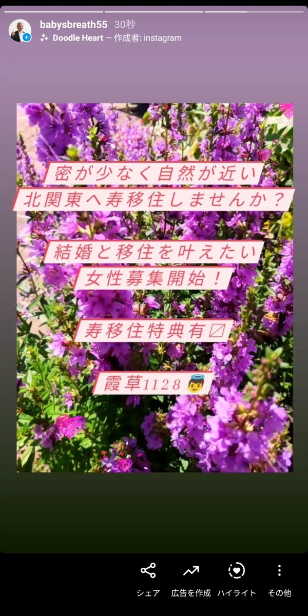 f:id:babysbreath55:20210806085525j:plain