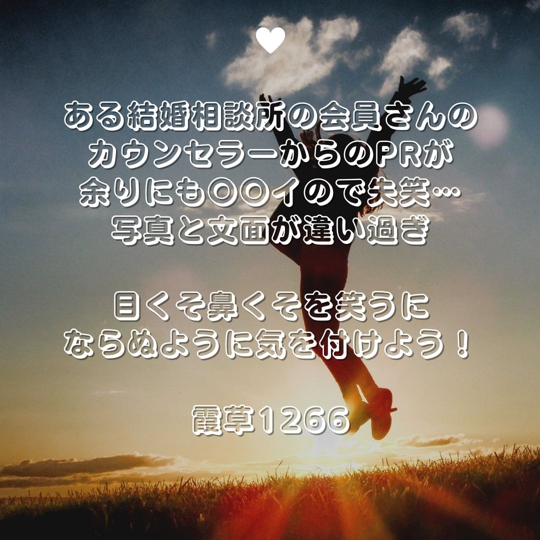 f:id:babysbreath55:20211220090531j:plain