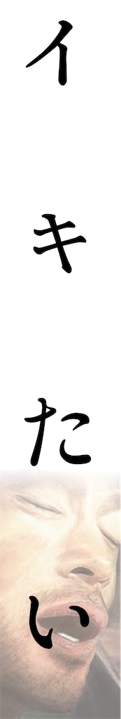 f:id:bachigai19:20240403215817p:image