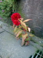 20081105013548