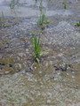 20100506224041