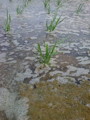 20100509210546
