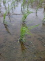 20100511223241