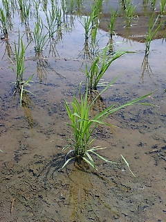 20100512224052